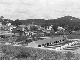 Vista panorâmica da Malveira