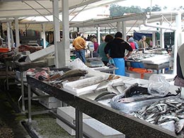 Feira à quinta-feira