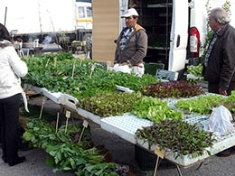 Feira à quinta-feira